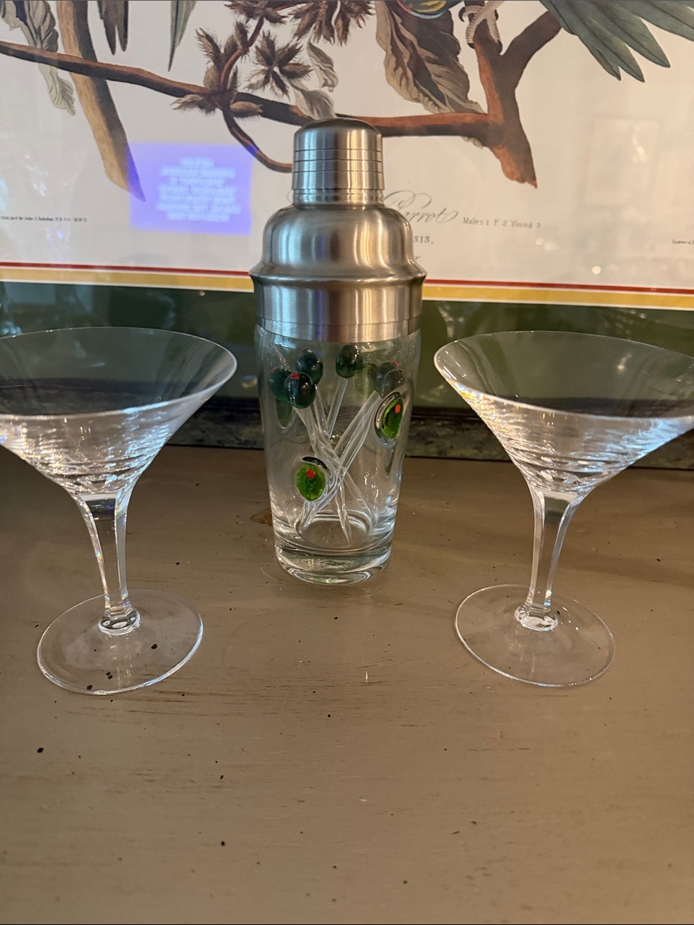 Vintage Martini Set